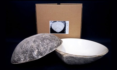 Boxed Shell Salad Bowl Image