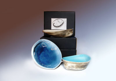 Boxed Paua Bowl Image