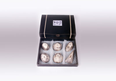 Boxed Set Natural Dip Shell Image