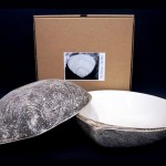 Boxed Shell Salad Bowl Image